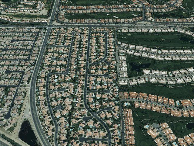 Regency Palms — photo 17