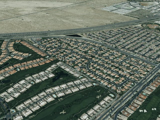 Regency Palms — photo 11