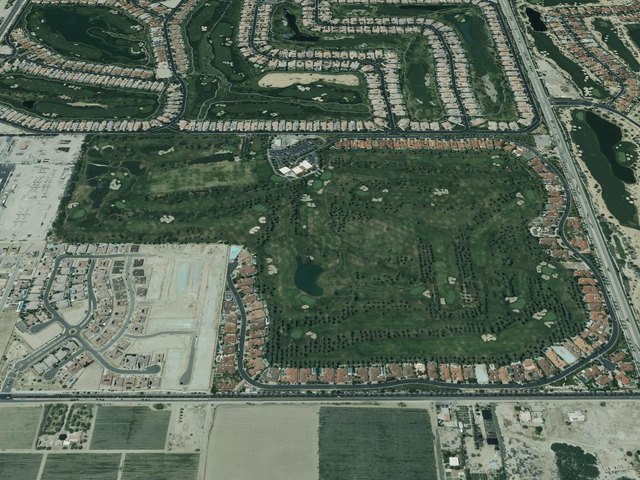 The Palms — photo 37