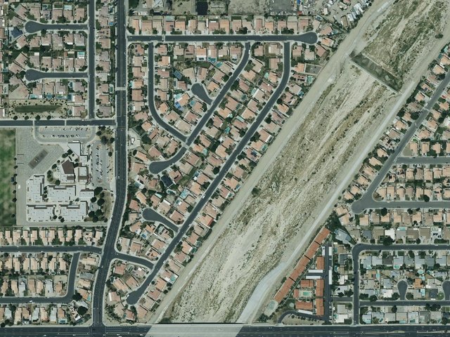 Waring Palms — photo 12