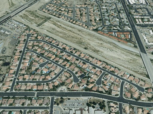 Waring Palms — photo 15