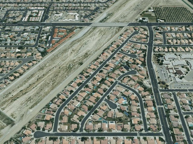 Waring Palms — photo 16